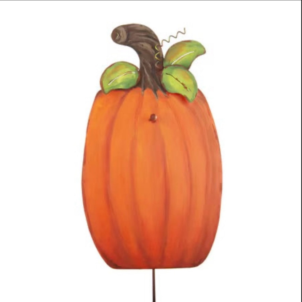 Display Pumpkin by The Round Top Collection